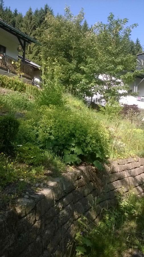 Haus Talblick Schmallenberg Exterior foto